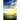 Cultivating Radiance