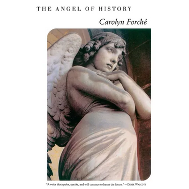 The Angel of History