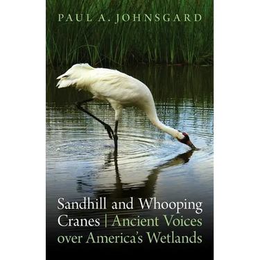 Sandhill and Whooping Cranes: Ancient Voices Over America's Wetlands