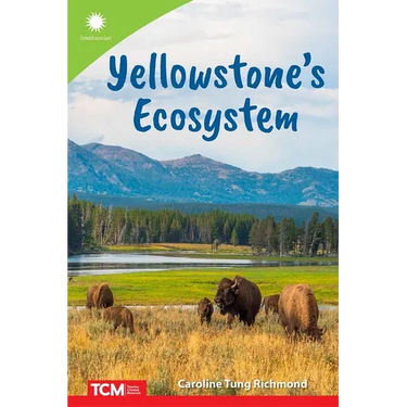 Yellowstone's Ecosystem