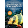 Essential Tropical Fish: Species Guide