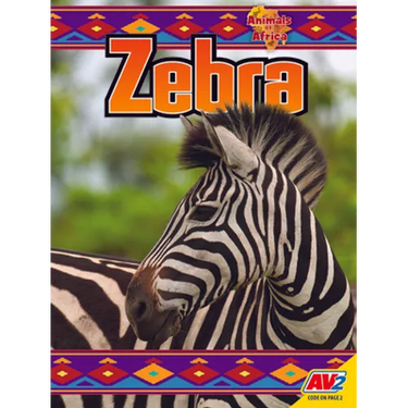 Zebra