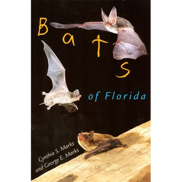 Bats of Florida