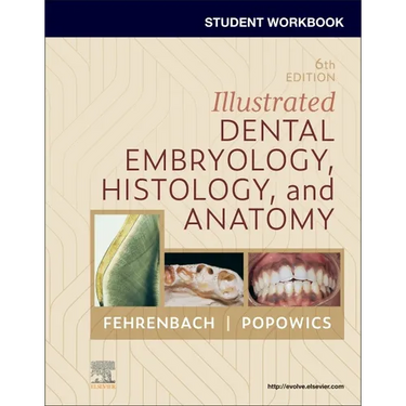 Student Workbook for Illustrated Dental Embryology, Histology and Anatomy