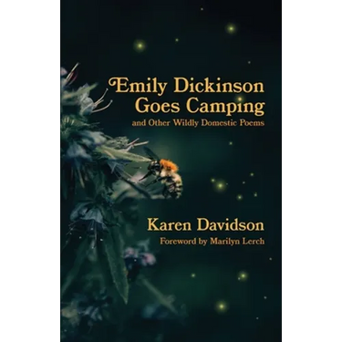 Emily Dickinson Goes Camping: and Other Wildly Domestic Poems
