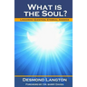 What Is The Soul?: Lingering Question, Eternal Answer