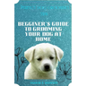 Perfect dog grooming tips: Beginner's guide to grooming your dog at home