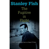 The Fugitive in Flight: Faith, Liberalism, and Law in a Classic TV Show