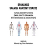 Spanlingo Spanish Anatomy Charts