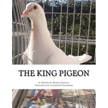 The King Pigeon
