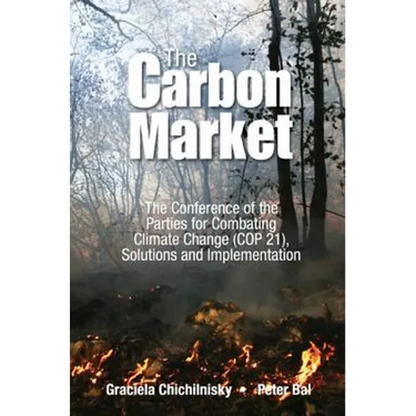 Reversing Climate Change