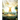Rebuilt Recovery - Knowing God - Book 3: A Journey with God