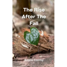 The Rise After The Fall