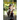 The Melded Child