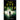 The Eye Thief