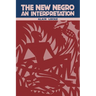 The New Negro: An Interpretation