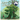 Save the Trees