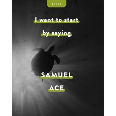I Want to Start by Saying