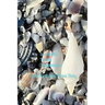 Seashells: SeaShells Blank Day Planner