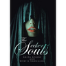 The Seeker of Souls