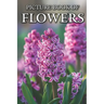 Flowers: Picture Books For Adults With Dementia And Alzheimers Patients - Colourful Photos Of Flowers With Names