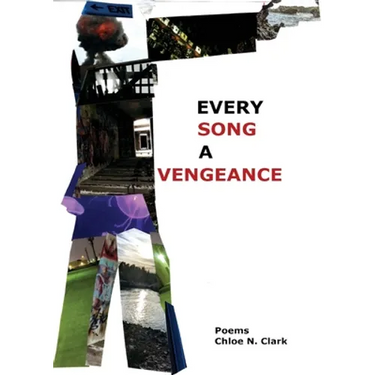 Every Song a Vengeance
