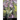 Box of Pain, Box of Fear