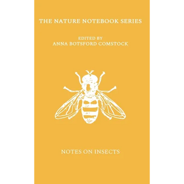 Notes on Insects
