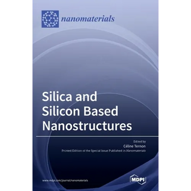 Silica and Silicon Based Nanostructures
