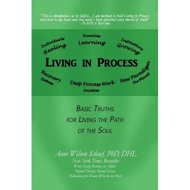 Living in Process: Basic Truths for Living the Path of the Soul
