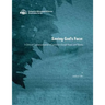 Saving God's Face: A Chinese Contextualization of Salvation through Honor and Shame