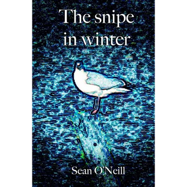 The snipe in winter