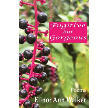 Fugitive but Gorgeous