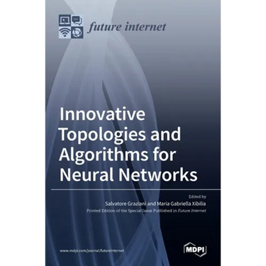 Innovative Topologies and Algorithms for Neural Networks