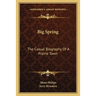 Big Spring: The Casual Biography Of A Prairie Town