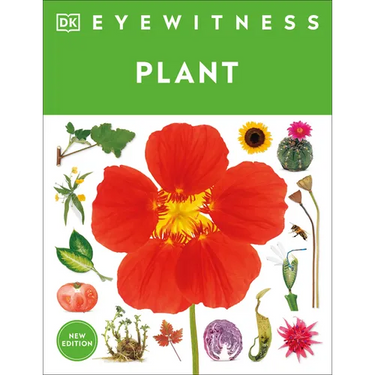 Eyewitness Plant