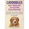 Cavoodles. Ultimate Cavoodle Dog Manual. Cavoodle care, costs, feeding, grooming, health and training all included.