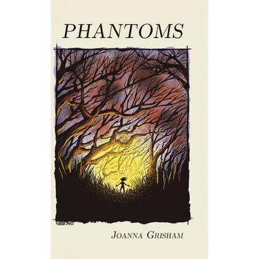 Phantoms