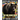 The Big Bear Book: Interesting Facts About Bears