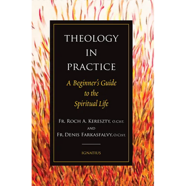 Theology in Practice: A Beginner's Guide to the Spiritual Life