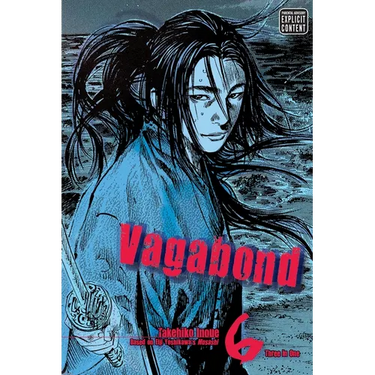 Vagabond (Vizbig Edition), Vol. 6