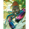 General Freshwater-Crustacean Practice: Fresh- & Brackish-Water Crayfish, Shrimps, Prawns, Crabs, Hermits & Horseshoe Crabs