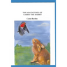 The Adventures of Cabbit The Rabbit