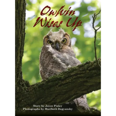 Owlvin Wises Up