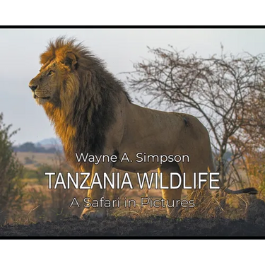 Tanzania Wildlife: A Safari in Pictures