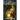 In the Lamplight: The Fantastic Worlds of L. Jagi Lamplighter