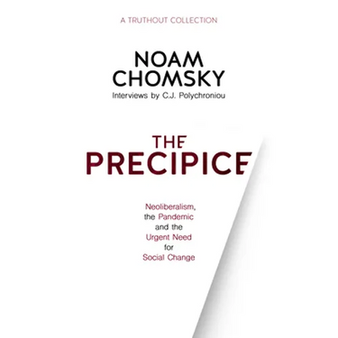 The Precipice: Neoliberalism, the Pandemic and the Urgent Need for Social Change