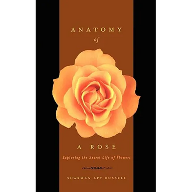 Anatomy of a Rose: Exploring the Secret Life of Flowers