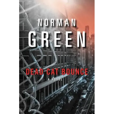 Dead Cat Bounce