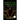 Rise of the Ravenisha